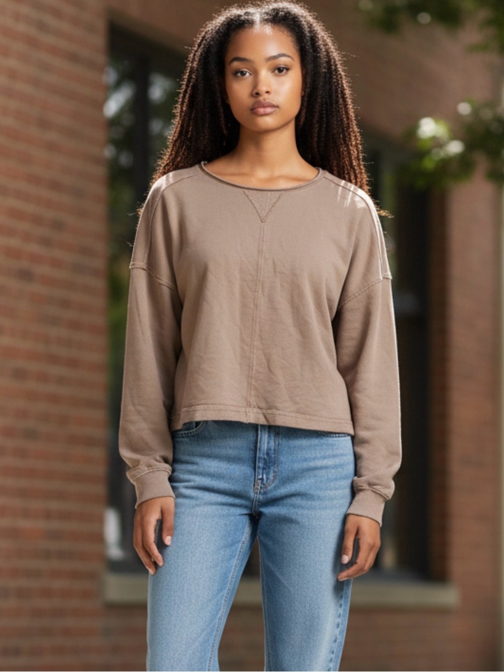 aerie Brown Crewneck Boxy Sweatshirt